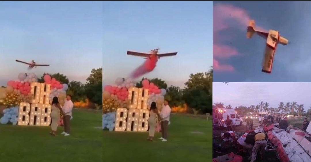 Pilot Dies After His Plane Crashed During A Gender Reveal Stunt In ...